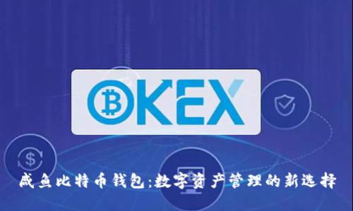 咸鱼比特币钱包：数字资产管理的新选择
